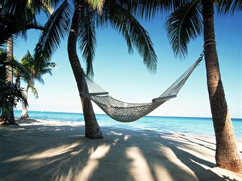 Hammock On The Beach With Good Book Cheap Beach Vacations Most