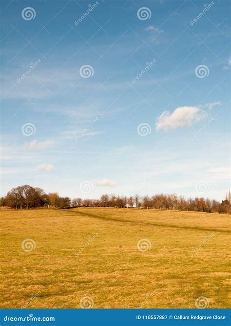 Massive Open Plain Farm Field Grass Agriculture England Blue Sky Ahead