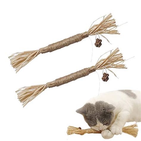 5 Best Cat Chew Toys In 2024 Reviews And Top Picks Pango Pets