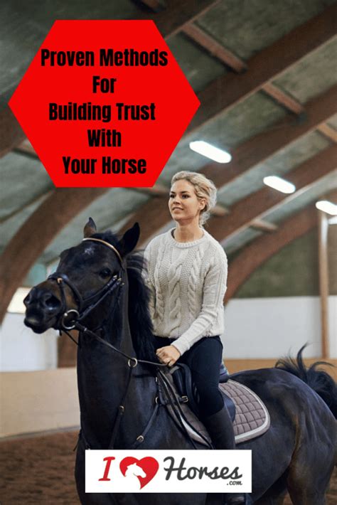 5 Ways To Build Trust With Your Horse