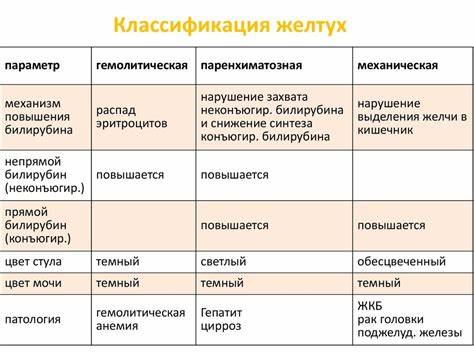 Диета при механическая желтуха Желтуха У Взрослых Симптомы И Лечение Диета — Похудение Диета Желтуха У Взрослых Симптомы И Лечение Диета — Похудение Диета Диета при механическая желтуха