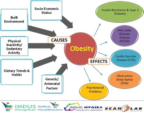 Causes And Effects Of Obesity Obesity Health Chart Ovarian Disease