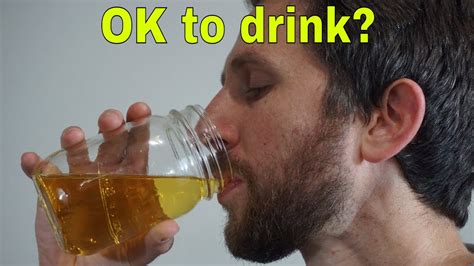 Drinking My Own Urine Good Idea Or Bad Idea Youtube