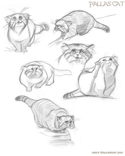 Pallas Cats By Kayjkay On Deviantart