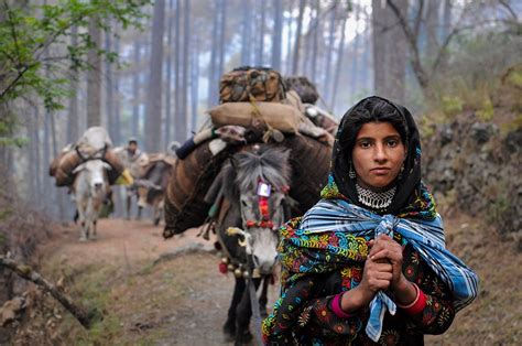 Behind The Scenes Of Himalaya Bound Images Of Nomads In North India