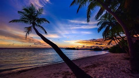 Free Download Beach Sunset Desktop Background Palm Trees Laptop Background 1920x1080 For Your
