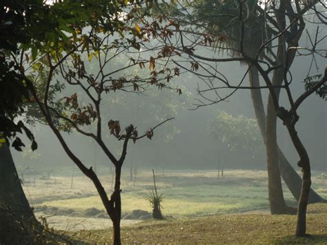 Bangladeshin Winter Morning Bangladesh