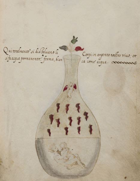 Alchemical Imagery Emblematic Manuscripts Donum Dei Yale Ms