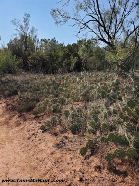 Photos taken in and around palo duro canyon in canyon, texas. Palo Duro Canyon, Texas - Tom's MaHaul