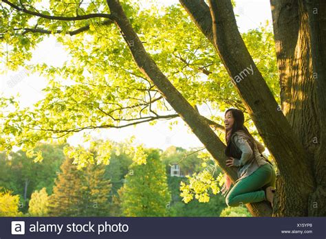 Woman Climbing Tree High Resolution Stock Photography And Images Alamy