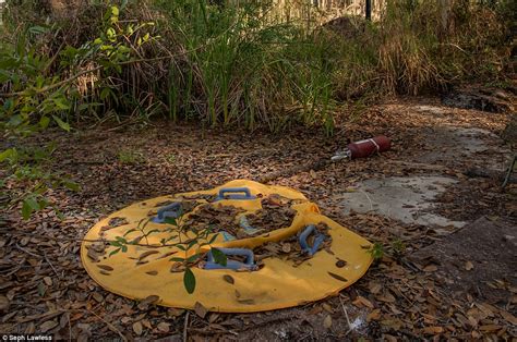 Disney World Park Left Abandoned In 2001 Shown In New Photos Daily