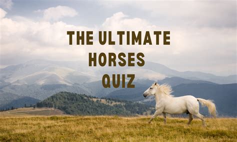 Horses Quiz 50 Horse And Pony Trivia Questions And Answers 2024