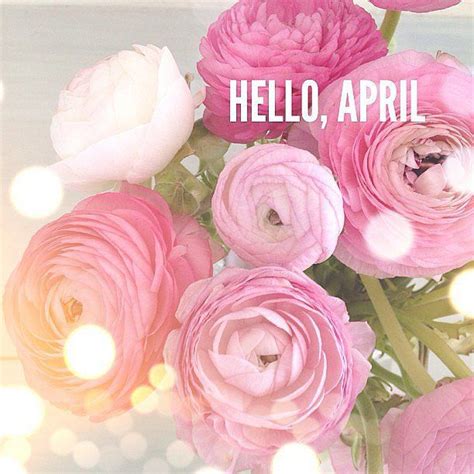 Hello April Seasons Months Months In A Year Easter Spring Spring