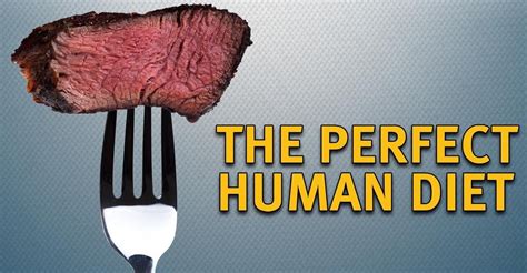 the perfect human diet streaming where to watch online