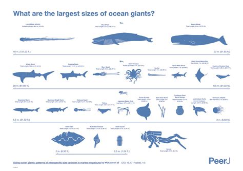Los 25 Gigantes Del Mar Público