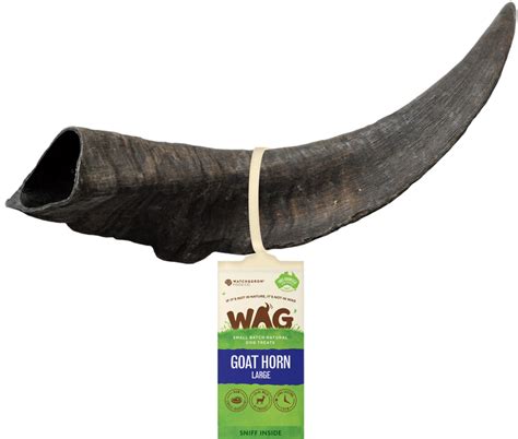 Get Wag Goat Horn Multiple Sizes Petzyo
