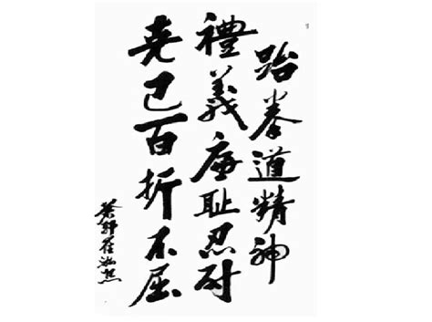 A tenet is a synonym for axiom, one of the principles on which a belief or theory is based. Tenets of taekwondo. Tae kwon do student oath. 2019-02-27