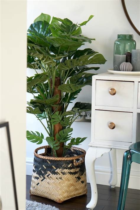 We did not find results for: How to Use Faux Plants in your Home - Love Chic Living