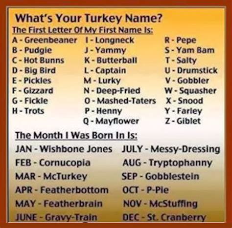 The first thanksgiving turkey on record to receive a reprieve was in 1963 when president john f previous turkeys have gone to disneyland and the unfortunately named frying pan park in virginia. Whats Your Turkey Name Pictures, Photos, and Images for ...