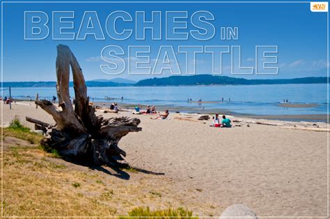 Discover Stunning Beaches In Seattle For A Fun Vacation