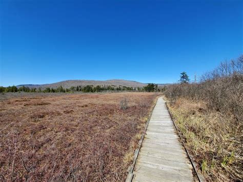 Check spelling or type a new query. Board walk in Cranberry Glades West Virginia USA #hiking # ...