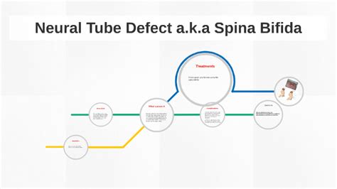 Neural Tube Defect Aka Spina Bifida By Bryan Lewis