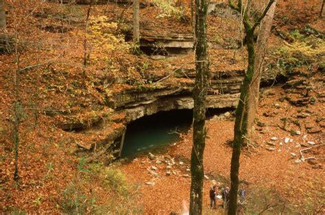 Take A Serene Hike To This Above Ground Cave In Kentucky