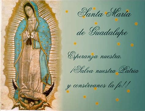 S Y Fondos Pazenlatormenta ImÁgenes De La Virgen De Guadalupe Con