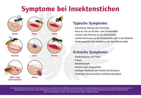 Insektenstiche: Symptome & Behandlung – Hohenzollern Apotheke