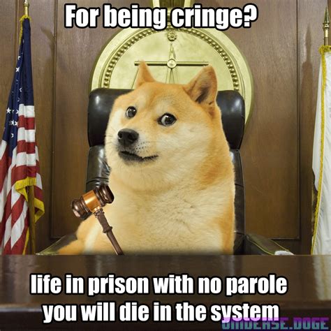 Le Judge Has Arrived Rdogelore Ironic Doge Memes Know Your Meme