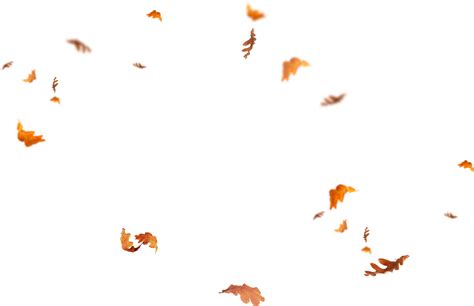 Download Falling Leaves Png Images Flying Autumn Leaf