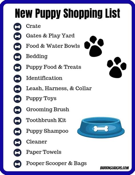 Everything You Need For A Puppy Puppy