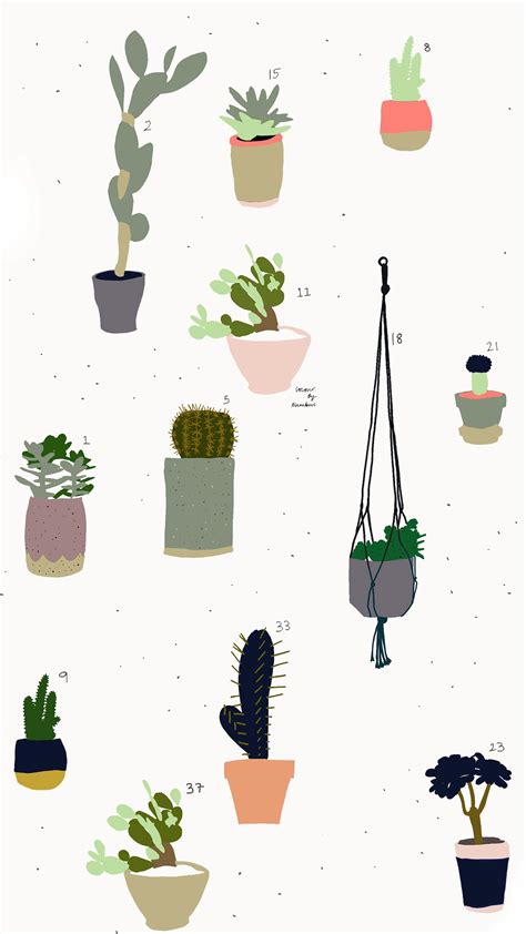 Minimalist Cactus Iphone Wallpapers Top Hình Ảnh Đẹp