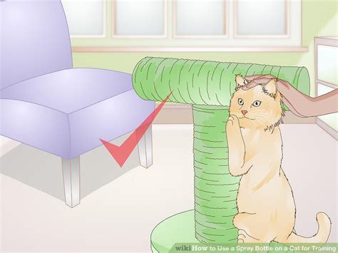 3 Ways To Use A Spray Bottle On A Cat For Training Wikihow