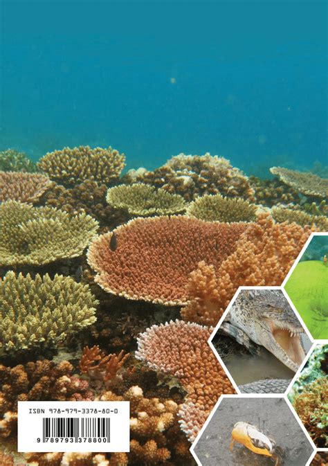 Pdf Biodiversitas Biota Laut Indonesia