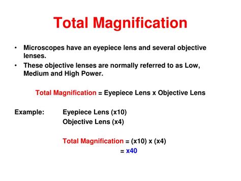 PPT - The Light Microscope PowerPoint Presentation, free download - ID