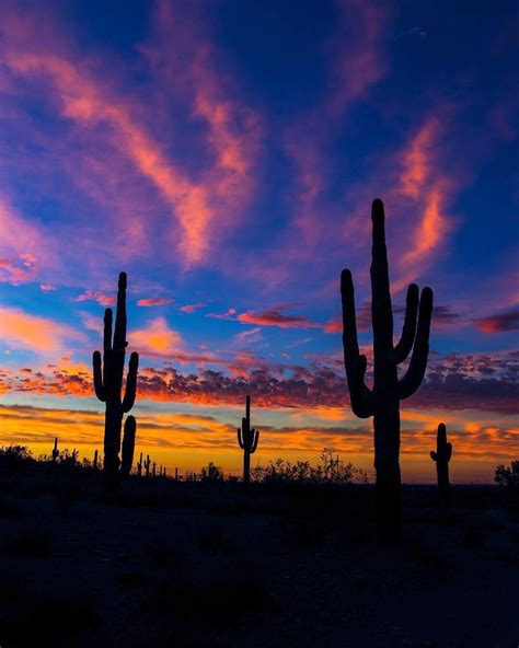 10 Places To Visit When In Arizona Artofit