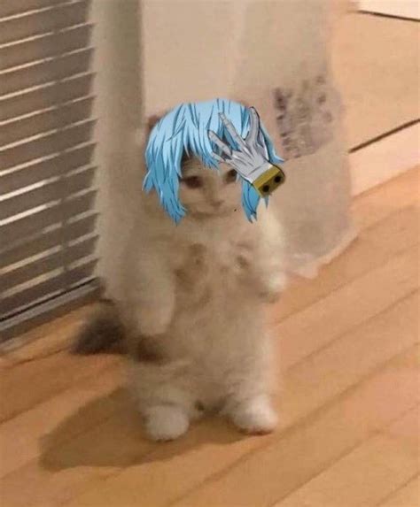 Pin By Aislinn Ugu On Mha Memes Cat Pfp Standing Cat Anime Cats