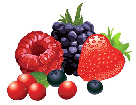 Berry Fruit Clip art - Forest Fruits PNG Vector Clipart Image png ...