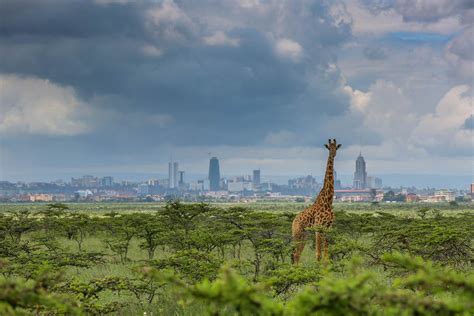 Visit Kenya Africas Maasai Land Worlds Best Game Reserves
