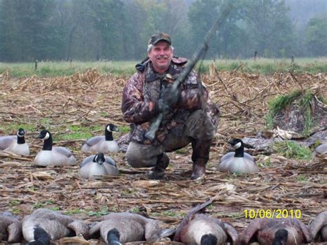 Snow Goose Hunting Ny Best Canada Goose Huntings