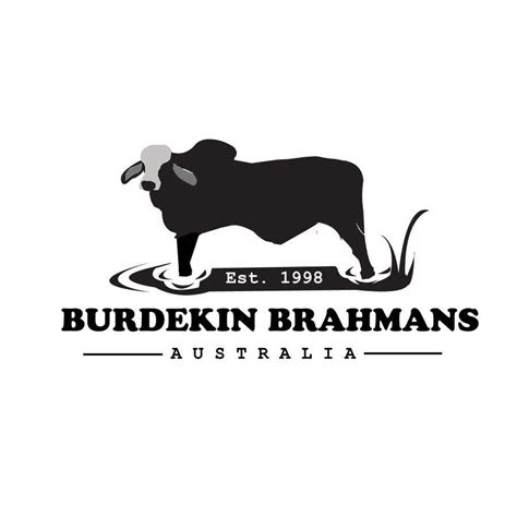 Brahman Cattle Logo Brahman Cattle Images Stock Photos Vectors