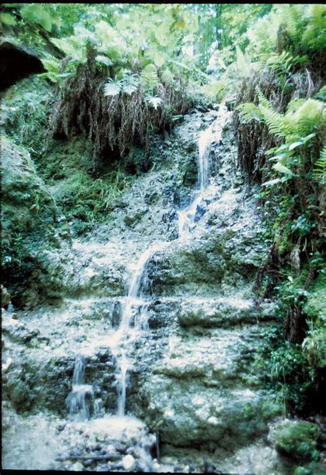Florida Memory Waterfall At Devils Millhopper Gainesville Florida