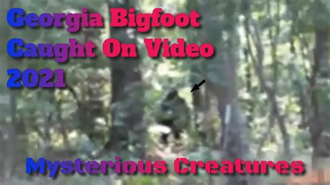 Georgia Bigfoot Caught On Video 2021 Youtube