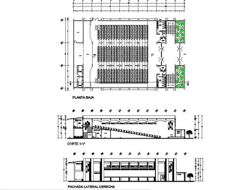 Elevation Plan And Sectional Detail Of Multiplex Theater Building 2d