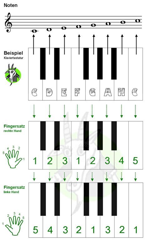Wie viele schläge hat die jeweilige note. Noten und Fingersätze für die Klaviertastatur, Piano code | Bergziege-OWL