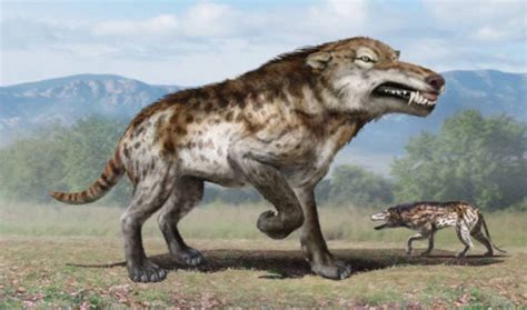 Animais Pré Históricos Ainda Vivos
