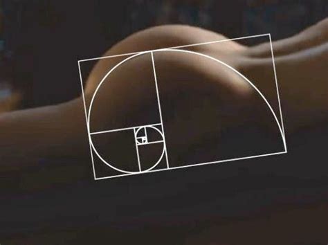 Related Image Golden Ratio