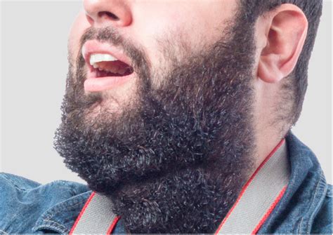 Neck Beards How To Make A Neck Beard Look Good Trim Fade And