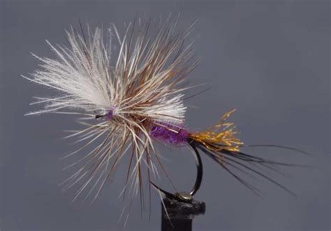 Video How To Tie The Last Chance Purple Haze Xpert Fly Fisher